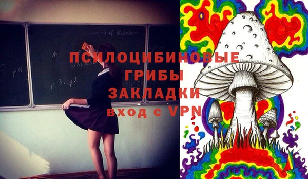 mdma Няндома