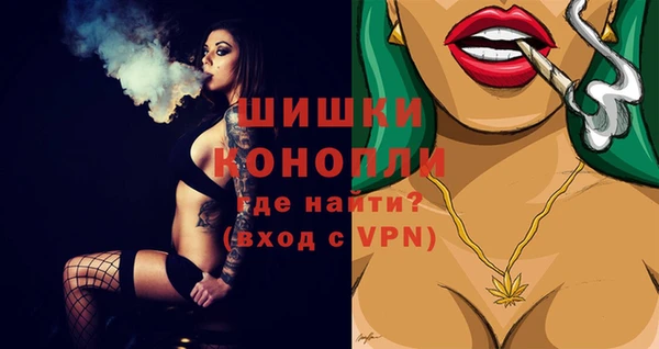 mdma Няндома