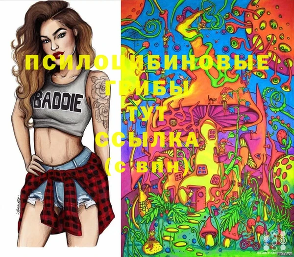 mdma Няндома