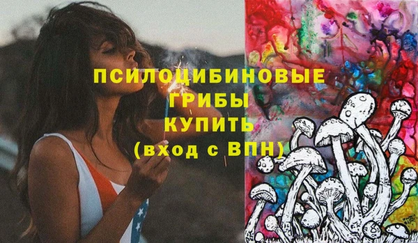 Альфа ПВП Нягань